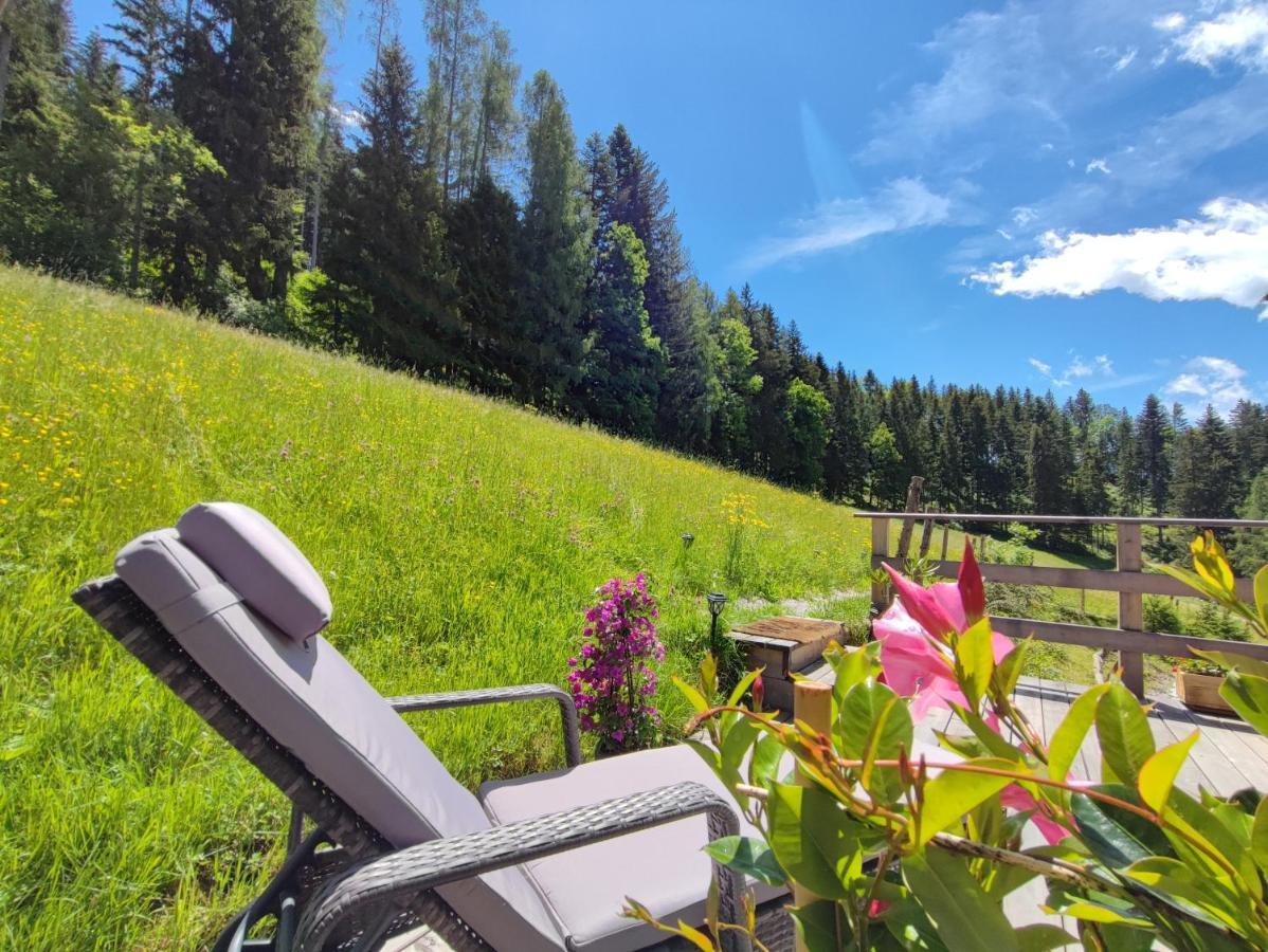 Villa Bischofsberg - Laerchen-Wellness Apartment Windischgarsten Εξωτερικό φωτογραφία