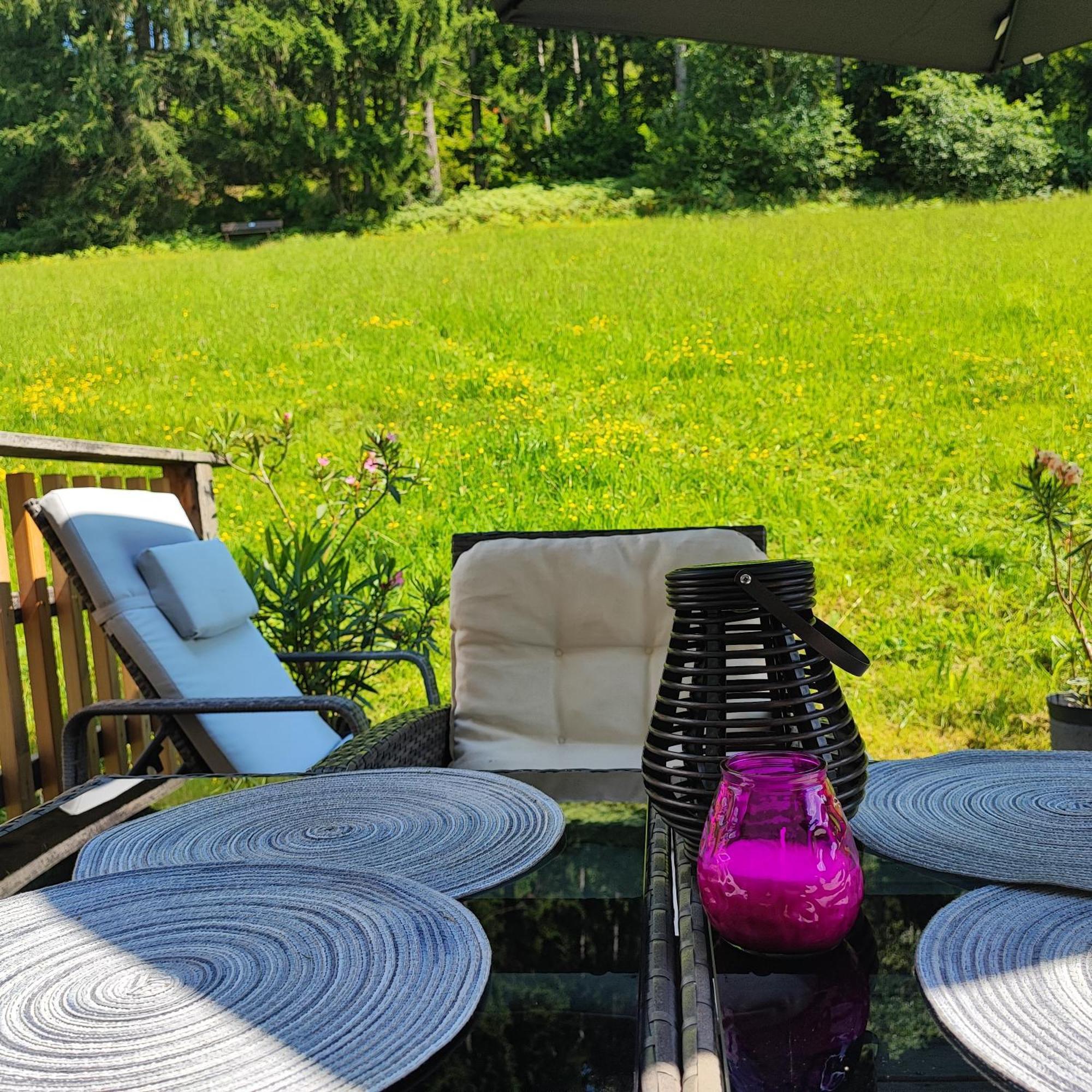 Villa Bischofsberg - Laerchen-Wellness Apartment Windischgarsten Εξωτερικό φωτογραφία